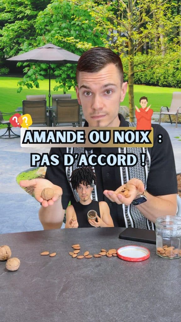 Lire la suite à propos de l’article Amande ou noix : un meilleur pour la santé ?