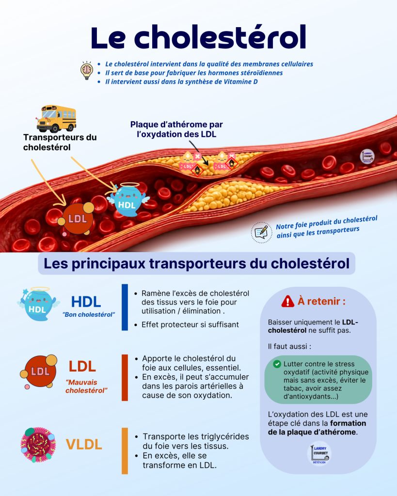 cholesterol ldl santé