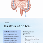 diététicien fodmaps