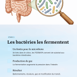 nutritionniste low fodmap